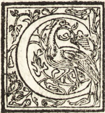 An illustration from Le vite de piv eccellenti architetti, pittori, et scvltori italiani : da Cimabve in sino à tempi nostri, 1550, leaf 382