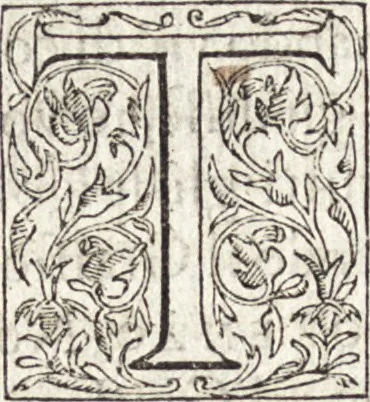 An illustration from Le vite de piv eccellenti architetti, pittori, et scvltori italiani : da Cimabve in sino à tempi nostri, 1550, leaf 393