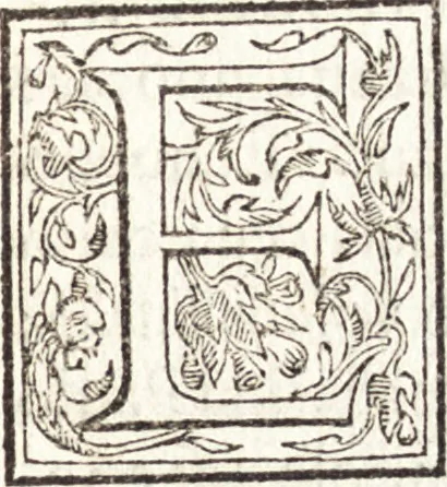 An illustration from Le vite de piv eccellenti architetti, pittori, et scvltori italiani : da Cimabve in sino à tempi nostri, 1550, leaf 406