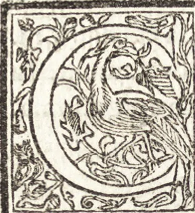 An illustration from Le vite de piv eccellenti architetti, pittori, et scvltori italiani : da Cimabve in sino à tempi nostri, 1550, leaf 409