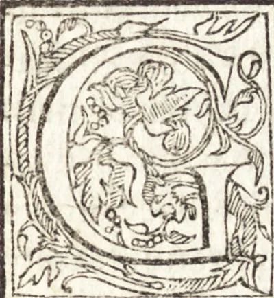 An illustration from Le vite de piv eccellenti architetti, pittori, et scvltori italiani : da Cimabve in sino à tempi nostri, 1550, leaf 420
