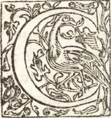 An illustration from Le vite de piv eccellenti architetti, pittori, et scvltori italiani : da Cimabve in sino à tempi nostri, 1550, leaf 424