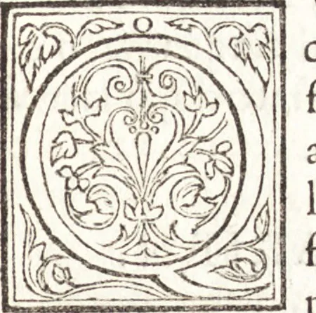 An illustration from Le vite de piv eccellenti architetti, pittori, et scvltori italiani : da Cimabve in sino à tempi nostri, 1550, leaf 430