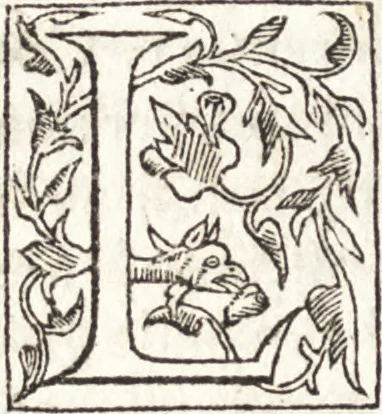 An illustration from Le vite de piv eccellenti architetti, pittori, et scvltori italiani : da Cimabve in sino à tempi nostri, 1550, leaf 435
