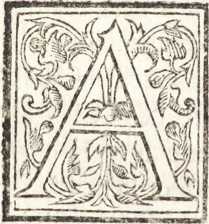 An illustration from Le vite de piv eccellenti architetti, pittori, et scvltori italiani : da Cimabve in sino à tempi nostri, 1550, leaf 445