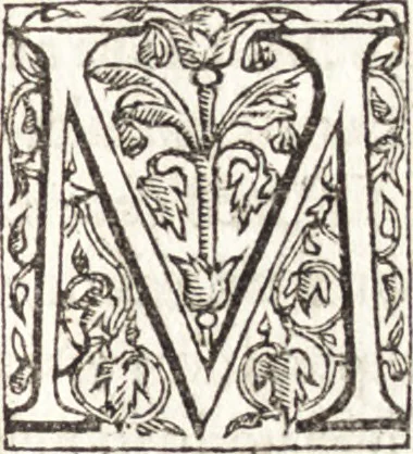 An illustration from Le vite de piv eccellenti architetti, pittori, et scvltori italiani : da Cimabve in sino à tempi nostri, 1550, leaf 464