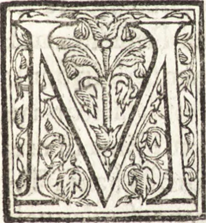 An illustration from Le vite de piv eccellenti architetti, pittori, et scvltori italiani : da Cimabve in sino à tempi nostri, 1550, leaf 476