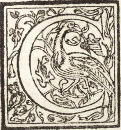 An illustration from Le vite de piv eccellenti architetti, pittori, et scvltori italiani : da Cimabve in sino à tempi nostri, 1550, leaf 516