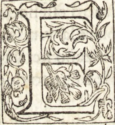 An illustration from Le vite de piv eccellenti architetti, pittori, et scvltori italiani : da Cimabve in sino à tempi nostri, 1550, leaf 541