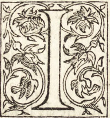 An illustration from Le vite de piv eccellenti architetti, pittori, et scvltori italiani : da Cimabve in sino à tempi nostri, 1550, leaf 125