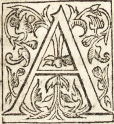 An illustration from Le vite de piv eccellenti architetti, pittori, et scvltori italiani : da Cimabve in sino à tempi nostri, 1550, leaf 140