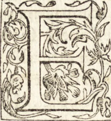 An illustration from Le vite de piv eccellenti architetti, pittori, et scvltori italiani : da Cimabve in sino à tempi nostri, 1550, leaf 145