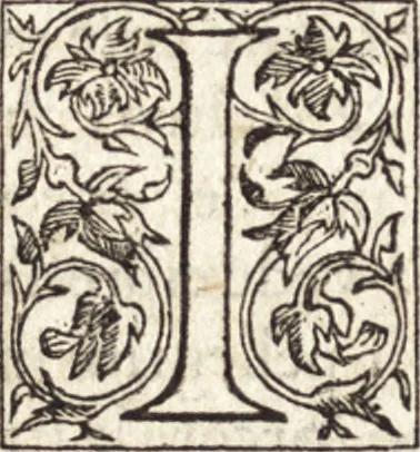 An illustration from Le vite de piv eccellenti architetti, pittori, et scvltori italiani : da Cimabve in sino à tempi nostri, 1550, leaf 151