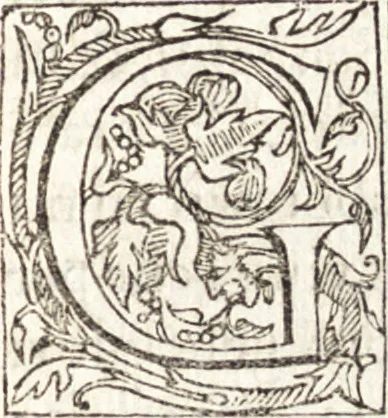 An illustration from Le vite de piv eccellenti architetti, pittori, et scvltori italiani : da Cimabve in sino à tempi nostri, 1550, leaf 158