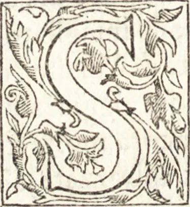 An illustration from Le vite de piv eccellenti architetti, pittori, et scvltori italiani : da Cimabve in sino à tempi nostri, 1550, leaf 163
