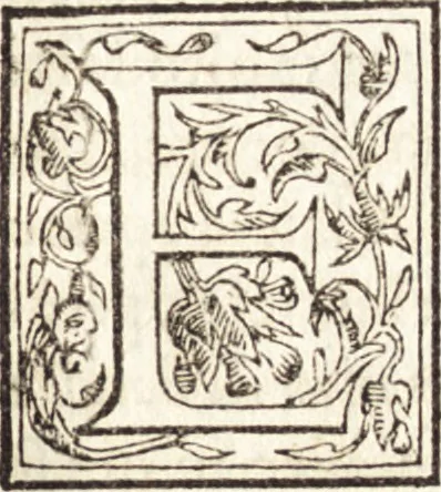 An illustration from Le vite de piv eccellenti architetti, pittori, et scvltori italiani : da Cimabve in sino à tempi nostri, 1550, leaf 228