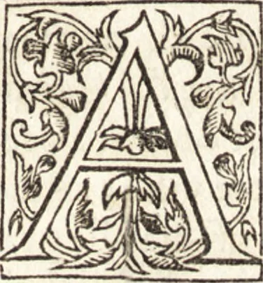 An illustration from Le vite de piv eccellenti architetti, pittori, et scvltori italiani : da Cimabve in sino à tempi nostri, 1550, leaf 232