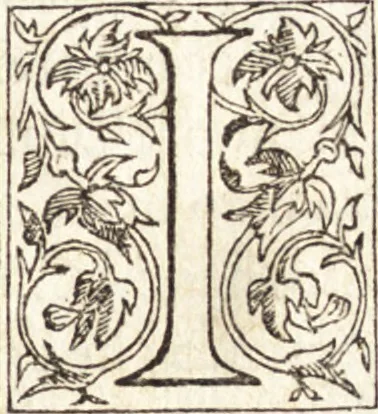 An illustration from Le vite de piv eccellenti architetti, pittori, et scvltori italiani : da Cimabve in sino à tempi nostri, 1550, leaf 234