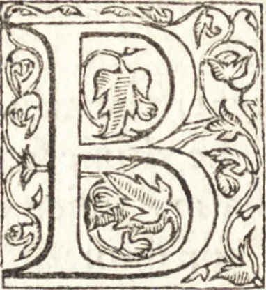 An illustration from Le vite de piv eccellenti architetti, pittori, et scvltori italiani : da Cimabve in sino à tempi nostri, 1550, leaf 237