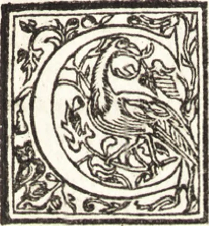 An illustration from Le vite de piv eccellenti architetti, pittori, et scvltori italiani : da Cimabve in sino à tempi nostri, 1550, leaf 240