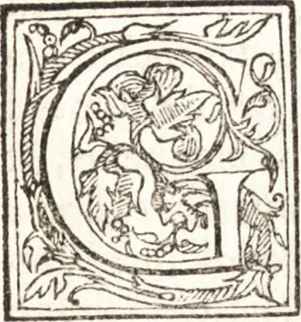 An illustration from Le vite de piv eccellenti architetti, pittori, et scvltori italiani : da Cimabve in sino à tempi nostri, 1550, leaf 246