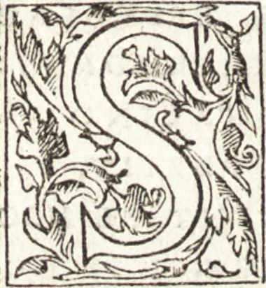 An illustration from Le vite de piv eccellenti architetti, pittori, et scvltori italiani : da Cimabve in sino à tempi nostri, 1550, leaf 257