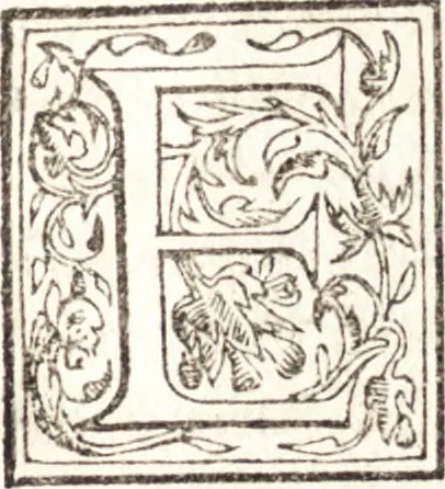 An illustration from Le vite de piv eccellenti architetti, pittori, et scvltori italiani : da Cimabve in sino à tempi nostri, 1550, leaf 264