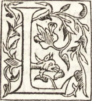 An illustration from Le vite de piv eccellenti architetti, pittori, et scvltori italiani : da Cimabve in sino à tempi nostri, 1550, leaf 287