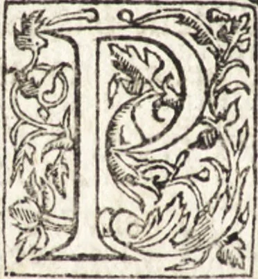 An illustration from Le vite de piv eccellenti architetti, pittori, et scvltori italiani : da Cimabve in sino à tempi nostri, 1550, leaf 303