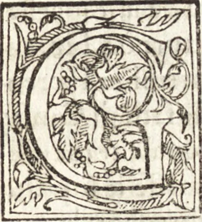 An illustration from Le vite de piv eccellenti architetti, pittori, et scvltori italiani : da Cimabve in sino à tempi nostri, 1550, leaf 306