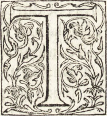 An illustration from Le vite de piv eccellenti architetti, pittori, et scvltori italiani : da Cimabve in sino à tempi nostri, 1550, leaf 345