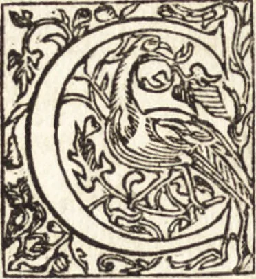 An illustration from Le vite de piv eccellenti architetti, pittori, et scvltori italiani : da Cimabve in sino à tempi nostri, 1550, leaf 37