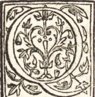 An illustration from Le vite de piv eccellenti architetti, pittori, et scvltori italiani : da Cimabve in sino à tempi nostri, 1550, leaf 443