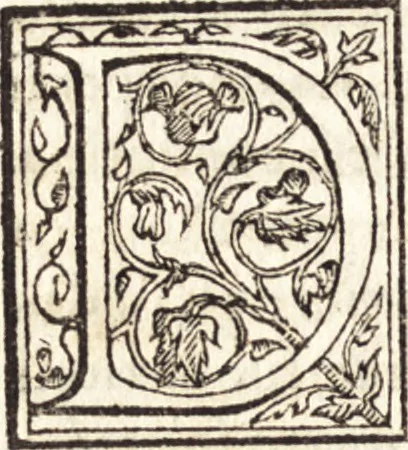 An illustration from Le vite de piv eccellenti architetti, pittori, et scvltori italiani : da Cimabve in sino à tempi nostri, 1550, leaf 45