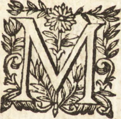 An illustration from Les voyages et obseruations du Sieur de La Boullaye-Le-Gouz, gentil-homme angeuin : où sont décrites les religions, gouuernemens, & situations des estats & royaumes d'Italie, Grece, Natolie, Syrie, Perse, Palestine, Karamenie, Kaldée, Assyrie, grand Mogol, Bijapour, Indes orientales des Portugais, Arabie, Egypte, Holande, grande Bretagne, Irlande, Dannemark, Pologne, isles & autres lieux d'Europe, Asie & Affrique, ou il à seiourné, le tout enrichy de belles figures ; et dedié à l'Eminentissime Cardinal Capponi, 1653, leaf 14
