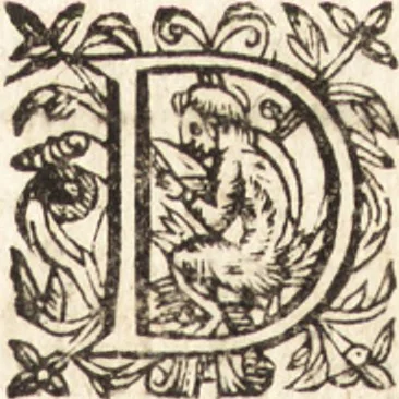 An illustration from Les voyages et obseruations du Sieur de La Boullaye-Le-Gouz, gentil-homme angeuin : où sont décrites les religions, gouuernemens, & situations des estats & royaumes d'Italie, Grece, Natolie, Syrie, Perse, Palestine, Karamenie, Kaldée, Assyrie, grand Mogol, Bijapour, Indes orientales des Portugais, Arabie, Egypte, Holande, grande Bretagne, Irlande, Dannemark, Pologne, isles & autres lieux d'Europe, Asie & Affrique, ou il à seiourné, le tout enrichy de belles figures ; et dedié à l'Eminentissime Cardinal Capponi, 1653, leaf 158