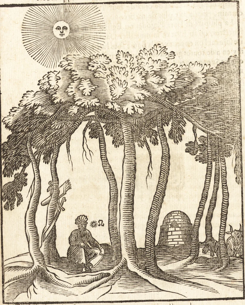 An illustration from Les voyages et obseruations du Sieur de La Boullaye-Le-Gouz, gentil-homme angeuin : où sont décrites les religions, gouuernemens, & situations des estats & royaumes d'Italie, Grece, Natolie, Syrie, Perse, Palestine, Karamenie, Kaldée, Assyrie, grand Mogol, Bijapour, Indes orientales des Portugais, Arabie, Egypte, Holande, grande Bretagne, Irlande, Dannemark, Pologne, isles & autres lieux d'Europe, Asie & Affrique, ou il à seiourné, le tout enrichy de belles figures ; et dedié à l'Eminentissime Cardinal Capponi, 1653, leaf 201