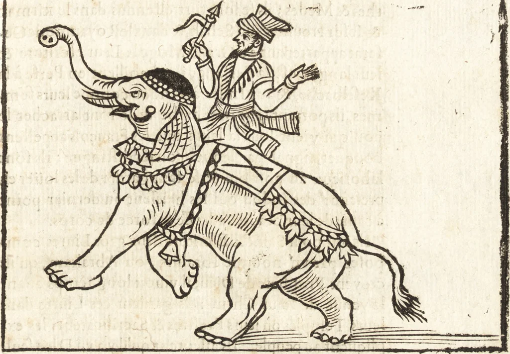 An illustration from Les voyages et obseruations du Sieur de La Boullaye-Le-Gouz, gentil-homme angeuin : où sont décrites les religions, gouuernemens, & situations des estats & royaumes d'Italie, Grece, Natolie, Syrie, Perse, Palestine, Karamenie, Kaldée, Assyrie, grand Mogol, Bijapour, Indes orientales des Portugais, Arabie, Egypte, Holande, grande Bretagne, Irlande, Dannemark, Pologne, isles & autres lieux d'Europe, Asie & Affrique, ou il à seiourné, le tout enrichy de belles figures ; et dedié à l'Eminentissime Cardinal Capponi, 1653, leaf 206