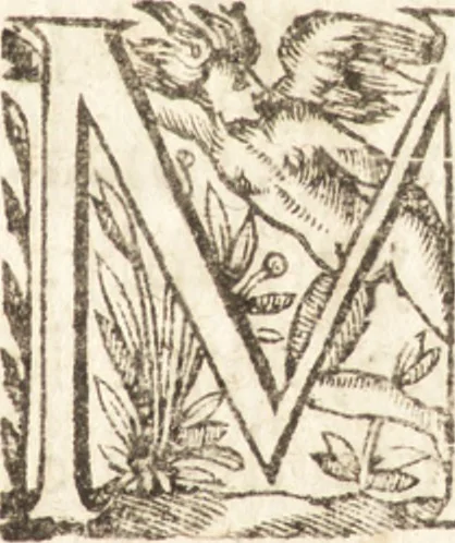 An illustration from Les voyages et obseruations du Sieur de La Boullaye-Le-Gouz, gentil-homme angeuin : où sont décrites les religions, gouuernemens, & situations des estats & royaumes d'Italie, Grece, Natolie, Syrie, Perse, Palestine, Karamenie, Kaldée, Assyrie, grand Mogol, Bijapour, Indes orientales des Portugais, Arabie, Egypte, Holande, grande Bretagne, Irlande, Dannemark, Pologne, isles & autres lieux d'Europe, Asie & Affrique, ou il à seiourné, le tout enrichy de belles figures ; et dedié à l'Eminentissime Cardinal Capponi, 1653, leaf 24