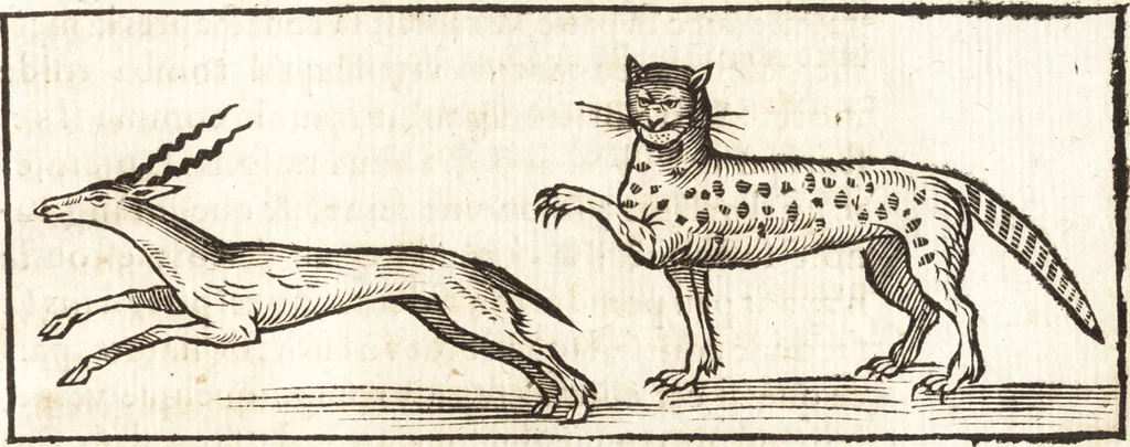 An illustration from Les voyages et obseruations du Sieur de La Boullaye-Le-Gouz, gentil-homme angeuin : où sont décrites les religions, gouuernemens, & situations des estats & royaumes d'Italie, Grece, Natolie, Syrie, Perse, Palestine, Karamenie, Kaldée, Assyrie, grand Mogol, Bijapour, Indes orientales des Portugais, Arabie, Egypte, Holande, grande Bretagne, Irlande, Dannemark, Pologne, isles & autres lieux d'Europe, Asie & Affrique, ou il à seiourné, le tout enrichy de belles figures ; et dedié à l'Eminentissime Cardinal Capponi, 1653, leaf 250