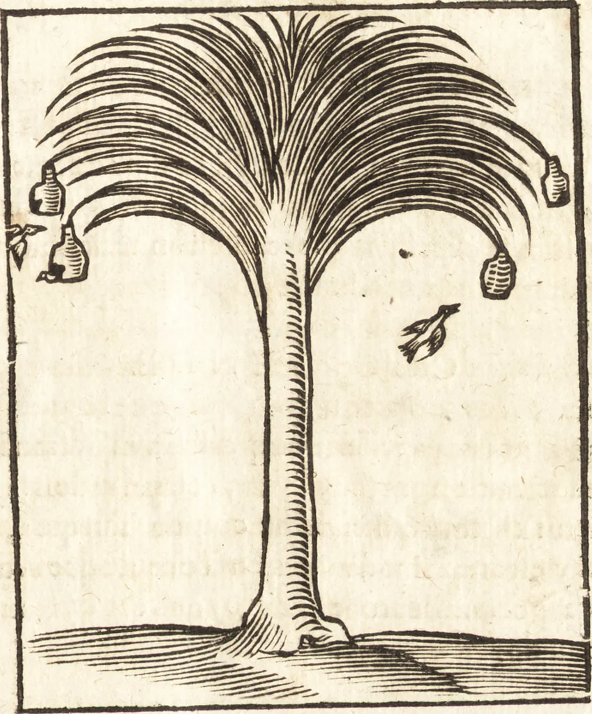 An illustration from Les voyages et obseruations du Sieur de La Boullaye-Le-Gouz, gentil-homme angeuin : où sont décrites les religions, gouuernemens, & situations des estats & royaumes d'Italie, Grece, Natolie, Syrie, Perse, Palestine, Karamenie, Kaldée, Assyrie, grand Mogol, Bijapour, Indes orientales des Portugais, Arabie, Egypte, Holande, grande Bretagne, Irlande, Dannemark, Pologne, isles & autres lieux d'Europe, Asie & Affrique, ou il à seiourné, le tout enrichy de belles figures ; et dedié à l'Eminentissime Cardinal Capponi, 1653, leaf 260