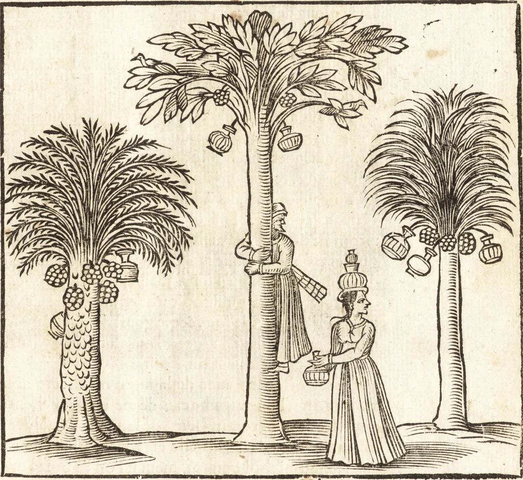 An illustration from Les voyages et obseruations du Sieur de La Boullaye-Le-Gouz, gentil-homme angeuin : où sont décrites les religions, gouuernemens, & situations des estats & royaumes d'Italie, Grece, Natolie, Syrie, Perse, Palestine, Karamenie, Kaldée, Assyrie, grand Mogol, Bijapour, Indes orientales des Portugais, Arabie, Egypte, Holande, grande Bretagne, Irlande, Dannemark, Pologne, isles & autres lieux d'Europe, Asie & Affrique, ou il à seiourné, le tout enrichy de belles figures ; et dedié à l'Eminentissime Cardinal Capponi, 1653, leaf 264