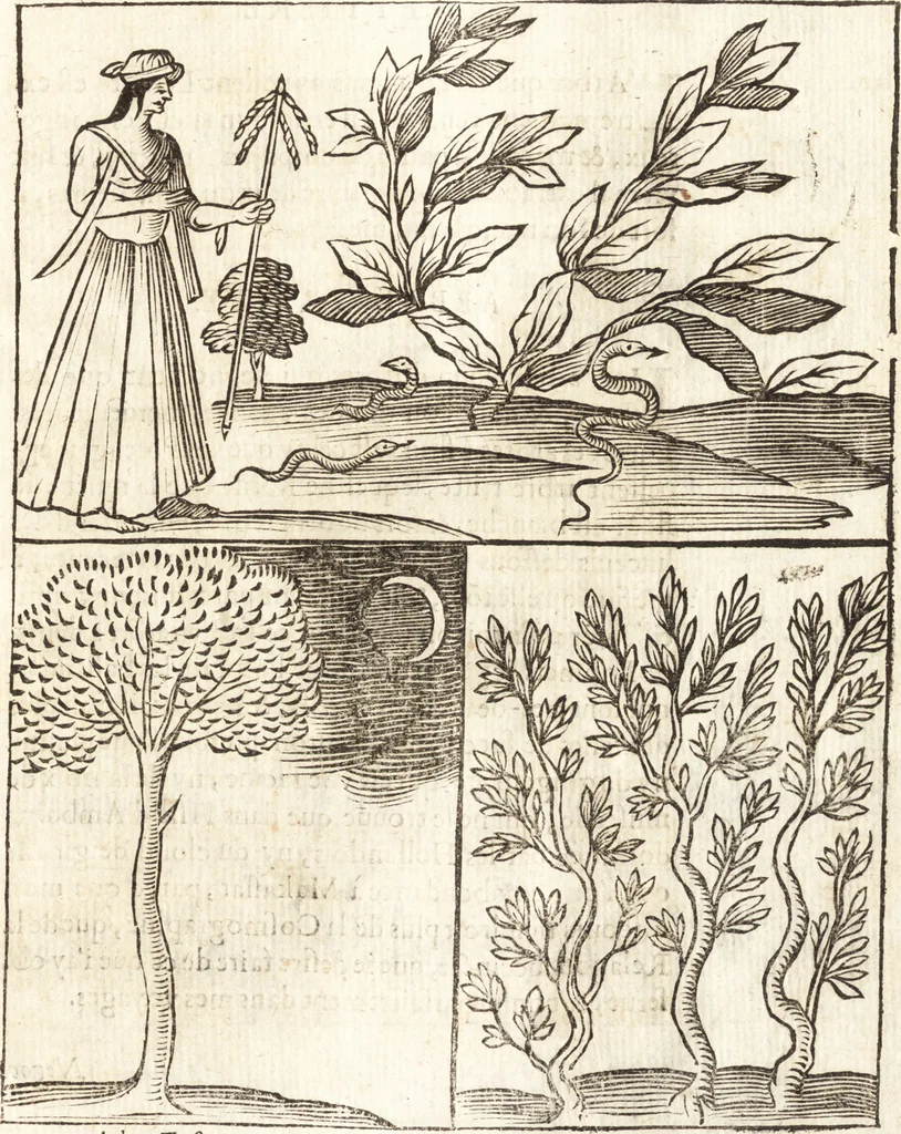 An illustration from Les voyages et obseruations du Sieur de La Boullaye-Le-Gouz, gentil-homme angeuin : où sont décrites les religions, gouuernemens, & situations des estats & royaumes d'Italie, Grece, Natolie, Syrie, Perse, Palestine, Karamenie, Kaldée, Assyrie, grand Mogol, Bijapour, Indes orientales des Portugais, Arabie, Egypte, Holande, grande Bretagne, Irlande, Dannemark, Pologne, isles & autres lieux d'Europe, Asie & Affrique, ou il à seiourné, le tout enrichy de belles figures ; et dedié à l'Eminentissime Cardinal Capponi, 1653, leaf 274