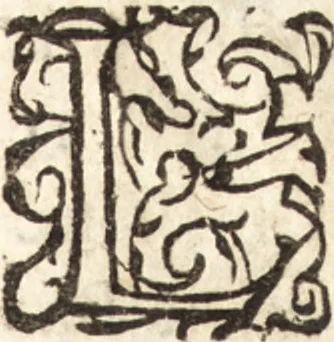 An illustration from Les voyages et obseruations du Sieur de La Boullaye-Le-Gouz, gentil-homme angeuin : où sont décrites les religions, gouuernemens, & situations des estats & royaumes d'Italie, Grece, Natolie, Syrie, Perse, Palestine, Karamenie, Kaldée, Assyrie, grand Mogol, Bijapour, Indes orientales des Portugais, Arabie, Egypte, Holande, grande Bretagne, Irlande, Dannemark, Pologne, isles & autres lieux d'Europe, Asie & Affrique, ou il à seiourné, le tout enrichy de belles figures ; et dedié à l'Eminentissime Cardinal Capponi, 1653, leaf 348