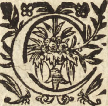An illustration from Les voyages et obseruations du Sieur de La Boullaye-Le-Gouz, gentil-homme angeuin : où sont décrites les religions, gouuernemens, & situations des estats & royaumes d'Italie, Grece, Natolie, Syrie, Perse, Palestine, Karamenie, Kaldée, Assyrie, grand Mogol, Bijapour, Indes orientales des Portugais, Arabie, Egypte, Holande, grande Bretagne, Irlande, Dannemark, Pologne, isles & autres lieux d'Europe, Asie & Affrique, ou il à seiourné, le tout enrichy de belles figures ; et dedié à l'Eminentissime Cardinal Capponi, 1653, leaf 515