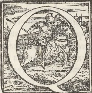 An illustration from Vrbis Romae topographia : nvper ab ipso avctore nonnvllis erroribvs svblatis emandata, addita etiam interpretatione nominum quæ unica litera uel syllaba in antiquis titulis scripta inueniuntur : cvi etiam ab eodem adiectae svnt qvam breuissimæ obseruationes de prænomine, nomine, & cognomine de quibus etsi multi multa scripsere nemo tamen hactenus rei ueritatem attigisse videtur, 1544, leaf 30