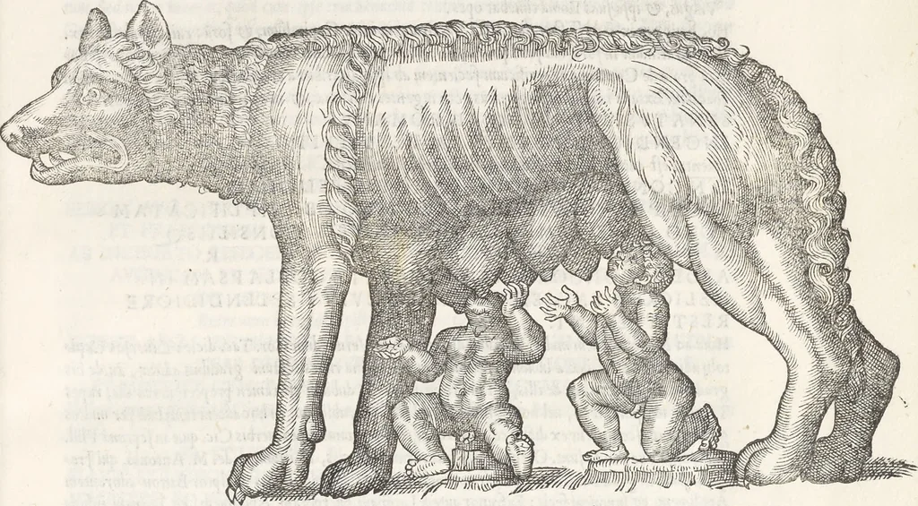 An illustration from Vrbis Romae topographia : nvper ab ipso avctore nonnvllis erroribvs svblatis emandata, addita etiam interpretatione nominum quæ unica litera uel syllaba in antiquis titulis scripta inueniuntur : cvi etiam ab eodem adiectae svnt qvam breuissimæ obseruationes de prænomine, nomine, & cognomine de quibus etsi multi multa scripsere nemo tamen hactenus rei ueritatem attigisse videtur, 1544, leaf 56