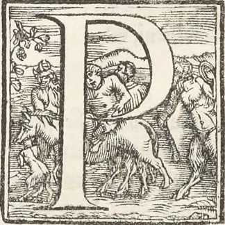 An illustration from Vrbis Romae topographia : nvper ab ipso avctore nonnvllis erroribvs svblatis emandata, addita etiam interpretatione nominum quæ unica litera uel syllaba in antiquis titulis scripta inueniuntur : cvi etiam ab eodem adiectae svnt qvam breuissimæ obseruationes de prænomine, nomine, & cognomine de quibus etsi multi multa scripsere nemo tamen hactenus rei ueritatem attigisse videtur, 1544, leaf 66