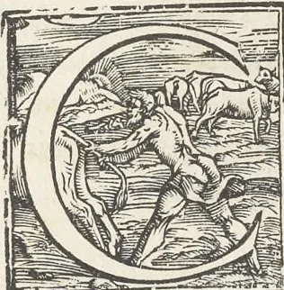 An illustration from Vrbis Romae topographia : nvper ab ipso avctore nonnvllis erroribvs svblatis emandata, addita etiam interpretatione nominum quæ unica litera uel syllaba in antiquis titulis scripta inueniuntur : cvi etiam ab eodem adiectae svnt qvam breuissimæ obseruationes de prænomine, nomine, & cognomine de quibus etsi multi multa scripsere nemo tamen hactenus rei ueritatem attigisse videtur, 1544, leaf 7