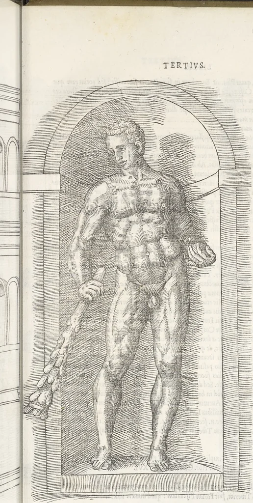 An illustration from Vrbis Romae topographia : nvper ab ipso avctore nonnvllis erroribvs svblatis emandata, addita etiam interpretatione nominum quæ unica litera uel syllaba in antiquis titulis scripta inueniuntur : cvi etiam ab eodem adiectae svnt qvam breuissimæ obseruationes de prænomine, nomine, & cognomine de quibus etsi multi multa scripsere nemo tamen hactenus rei ueritatem attigisse videtur, 1544, leaf 84